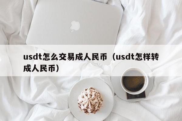 usdt怎么交易成人民币（usdt怎样转成人民币）